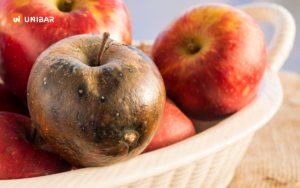 Những dấu hiệu nhận biết nguyên liệu pha chế bị hỏng_ảnh bìa