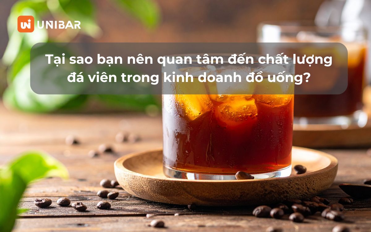 Tại sao bạn nên quan tâm đến chất lượng đá viên trong kinh doanh đồ uống