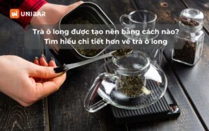 Trà ô long được tạo nên bằng cách nào? Tìm hiểu chi tiết hơn về trà ô long - loại trà đang vô cùng được ưa chuộng trong pha chế