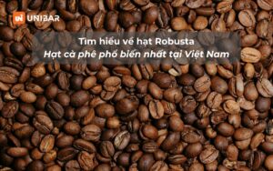 Tìm hiểu về hạt Robusta - Hạt cà phê phổ biến nhất tại Việt Nam