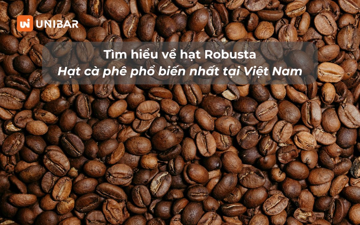 Tìm hiểu về hạt Robusta - Hạt cà phê phổ biến nhất tại Việt Nam