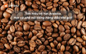 Tìm hiểu về hạt Arabica - Hạt cà phê nổi tiếng hàng đầu thế giới