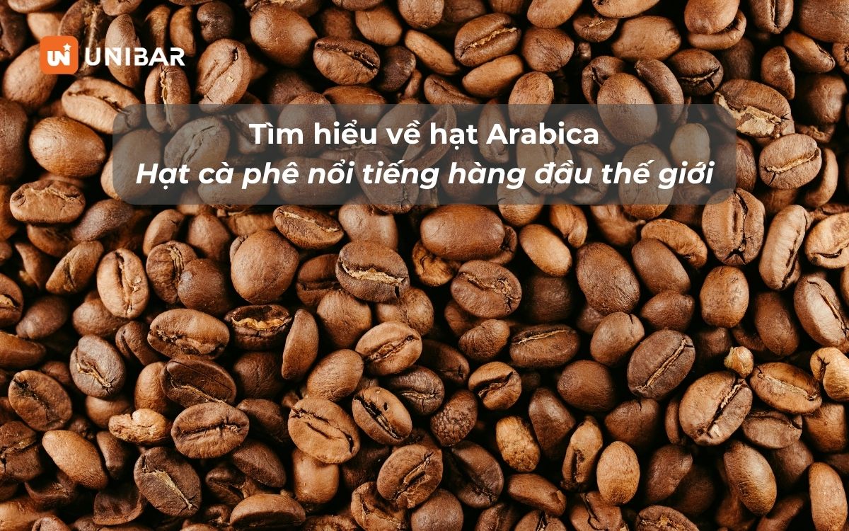 Tìm hiểu về hạt Arabica - Hạt cà phê nổi tiếng hàng đầu thế giới